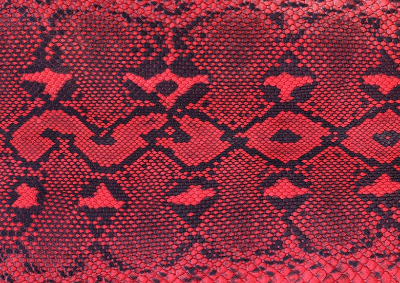 无人,横图,室内,特写,白天,正面,兴奋,热情,静物,一块,装饰,纹路,纹理,皮,皮革,开放,红色,黑色,健康,温暖,奔放,活力,积极,激情,朝气,皮肤,保暖,华丽,暖色,皮毛,蛇皮,吉祥,点缀,生命,御寒,饱满,肌理,衬托,美观,雅致,雅观,革命,热烈,赤色,充实,斗志,喜气,主动,彩图,欢乐,蛇皮革,虵皮