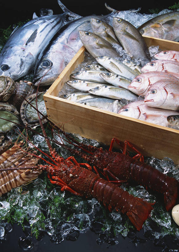 海鲜,龙虾,三文鱼,无人,竖图,俯视,室内,特写,白天,鲑鱼,叶子,一堆,许多,阴影,堆叠,堆积,反射,木制,木盒,影子,冰,虾,冰块,绿叶,扇贝,鲷鱼,冷冻,水产,海洋生物,木制品,容器,嫩叶,寒冷,冷藏,储藏,堆,大马哈鱼,鲷,海扇,加吉鱼,马鲛鱼,铜盆鱼,真鲷,死亡,冰冷,储存,水生动物,海产品,水生物,红鲷,海底动物,撒蒙鱼,萨门鱼,冰海之皇,鲑,班加吉,加真鲷,蓝点马鲛鱼,鰆鱼,鱍鱼,竹鲛,土魠鱼,马加,梭齿土魠鱼,马哈鱼,麻哈鱼,大麻哈鱼,保鲜,红加吉,殒命,灭亡,叶,叶片,马鲛,彩图,高角度拍摄,贮存