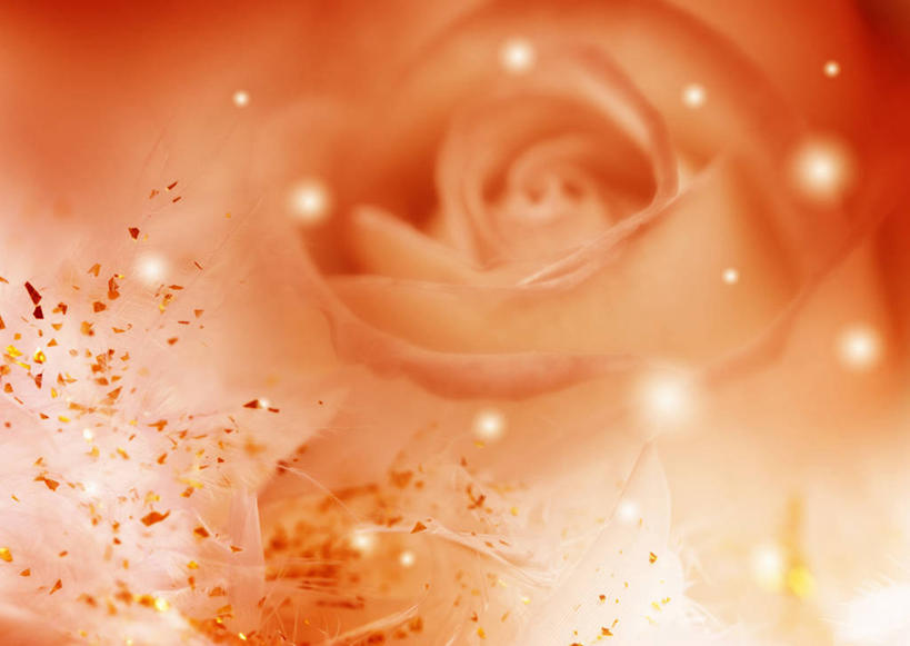 无人,横图,室内,白天,正面,爱情,幸福,纯洁,热情,数码,科技,玫瑰,阴影,朦胧,模糊,盛开,网络,玫瑰花,高光,几何,计算机图形,辉煌,浪漫,合成,花蕾,花,花瓣,花朵,鲜花,花苞,花蕊,温暖,温馨,橙色,恩爱,活泼,华丽,暖色,电脑合成图,数码合成图,和睦,合成图,感动,温情,写实,具体,具象,尊敬,炽热,响亮,跃动,天真,甜蜜,刺玫花,徘徊花,彩图,愉快,融洽