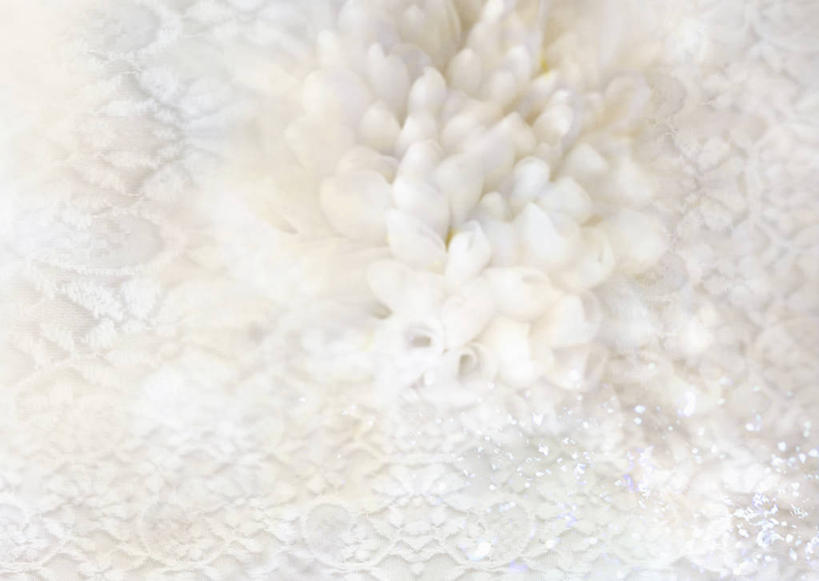 无人,横图,室内,白天,正面,爱情,数码,科技,阴影,朦胧,模糊,盛开,网络,高光,几何,计算机图形,合成,花蕾,花,花瓣,花朵,鲜花,白色,花苞,花蕊,菊花,吉祥,电脑合成图,数码合成图,卫生,合成图,纯真,写实,具体,具象,高洁,长寿,洁净,怀恋,清净,真情,寿客,秋菊,光明,恬静,中间色,朴素,清白,彩图