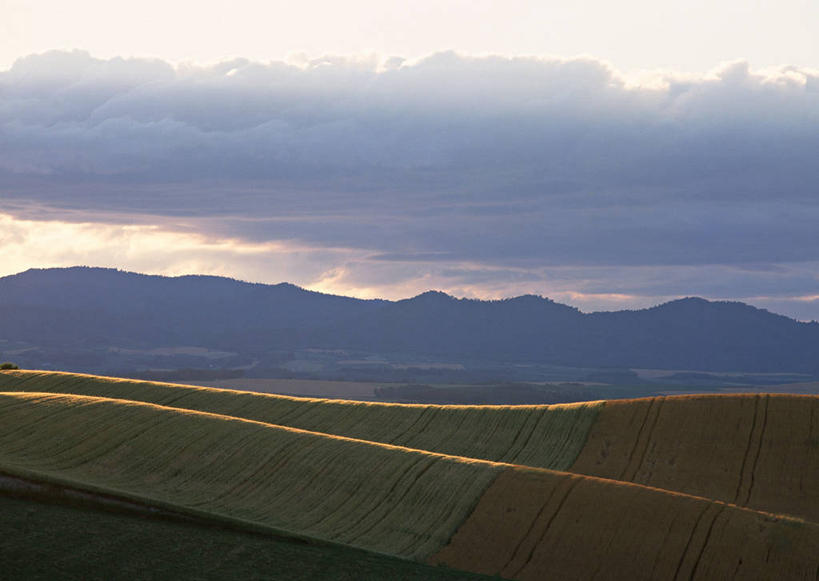 无人,农田,横图,室外,白天,正面,旅游,度假,庄稼,农作物,石头,美景,日落,山,山脉,北海道,日本,亚洲,阴影,光线,石子,影子,景观,山顶,山峰,晚霞,霞光,落日,山峦,娱乐,阳光,自然,黄昏,群山,享受,休闲,景色,彩霞,放松,自然风光,东亚,沉积岩,日本国,北海道地方,北海道岛,美瑛町,美瑛,道北,颠峰,极峰,夕照,薄暮,水成岩,石块,岩石,夕阳,彩图,耕地,庄稼田,傍晚,上川郡,斜阳,上川支厅