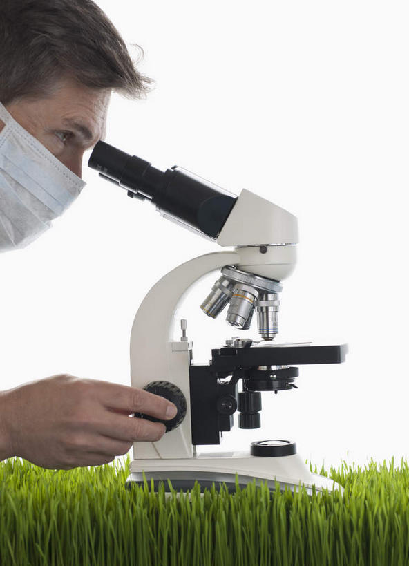 西方人,脸,头,脸颊,手,一个人,科学家,竖图,室内,特写,白天,白色背景,侧面,仪器,草地,草坪,植物,欧洲,欧洲人,仅一个男性,仅一个人,仅一个中年男性,握,检查,反射,分离,分析,科学,显微镜,过滤,拿,分开,拿着,注视,草,绿色,口罩,观察,看,手部,隔断,清晰,探索,握着,遮掩,摄影,影棚,放大,观看,单手,隔离,仔细,一台,透镜,察看,卫生,掩盖,凸透镜,遮挡,聚焦,科研人员,关注,净化,间隔,研究者,预防,遮盖,防尘,科学研究者,光学,清楚,掩饰,断绝,隔开,屏蔽,屏绝,远离,中断,阻遏,阻隔,男人,男性,中年男性,白种人,头部,脸部,脸蛋,面部,科学工作者,半身,彩图,影棚拍摄,拍摄