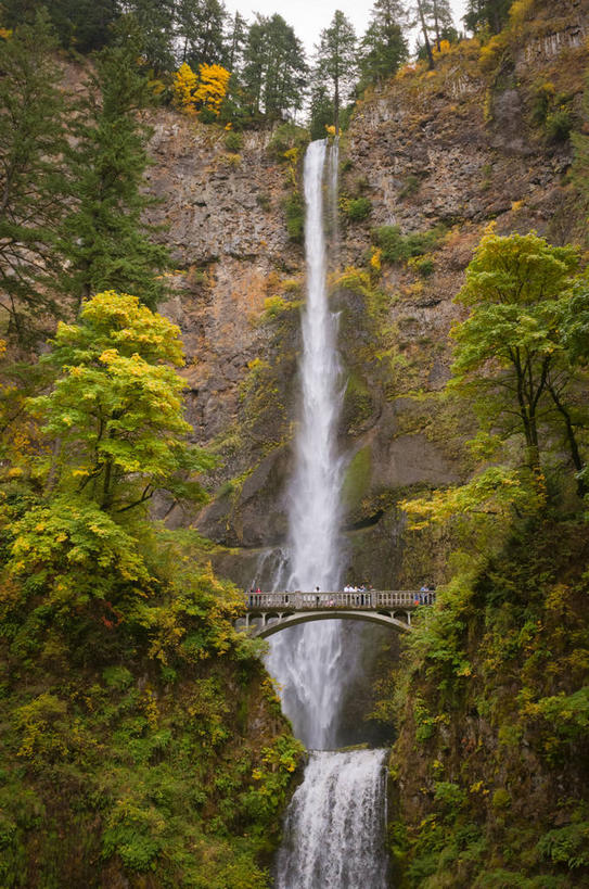 西方人,站,竖图,室外,白天,仰视,旅游,度假,石头,美景,瀑布,山,山脉,树林,水,植物,欧洲,美国,欧洲人,行人,游客,游人,飞溅,服装,溅,木板,石子,液体,高地,景观,山峰,水滴,桥,木桥,山峦,许多人,注视,休闲装,娱乐,路人,旅客,栈桥,水珠,树,树木,衣服,绿色,自然,群山,观察,看,站着,一群人,享受,休闲,休闲服,景色,放松,服饰,生长,成长,观看,人行桥,木板桥,察看,北美,北美洲,关注,喷洒,自然风光,美洲,河谷,俄勒冈州,沉积岩,哥伦比亚河谷,俄勒冈,北亚美利加洲,亚美利加洲,落日之州,水獭之州,海狸州,哥伦比亚谷,哥伦比亚山谷,摩特诺玛瀑布,过客,水成岩,男人,男性,年轻男性,年轻女性,女人,女性,白种人,跌水,石块,岩石,站立,彩图,低角度拍摄,全身
