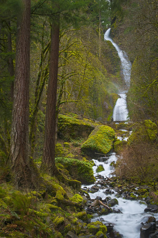 无人,竖图,室外,白天,正面,旅游,度假,石头,美景,瀑布,山,山脉,树林,水,峡谷,植物,美国,飞溅,溅,石子,液体,景观,山峰,水滴,山谷,山峦,娱乐,水珠,树,树木,绿色,自然,群山,享受,休闲,景色,放松,生长,成长,北美,北美洲,岩层,喷洒,自然风光,美洲,俄勒冈州,俄勒冈,北亚美利加洲,亚美利加洲,落日之州,水獭之州,海狸州,跌水,石块,岩石,彩图,姆尔特诺默县