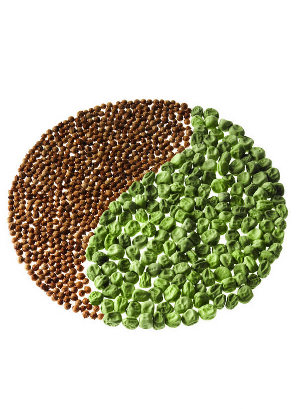 无人,竖图,俯视,室内,特写,白天,白色背景,植物,蔬菜,一堆,许多,阴影,堆叠,堆积,新鲜,反射,圆形,图形,影子,圆,豆类,豆子,豌豆,食品,种子,草药,药草,几何,文化,荷兰豆,中药,食物,祈祷,许愿,摄影,宗教,信仰,有机食品,绿色食品,影棚,堆,祈求,吉祥,豆蔻,数学,风水,药材,中草药,阴阳,雪豆,豆科,中药材,本草,吉凶,吉利,晦气,不祥,倒霉,霉运,恶兆,凶险,寒豆,毕豆,麻累,国豆,小寒豆,麦豌豆,消食,白豆蔻,平安,彩图,高角度拍摄,影棚拍摄,拍摄,几何图形,平面图形,开胃