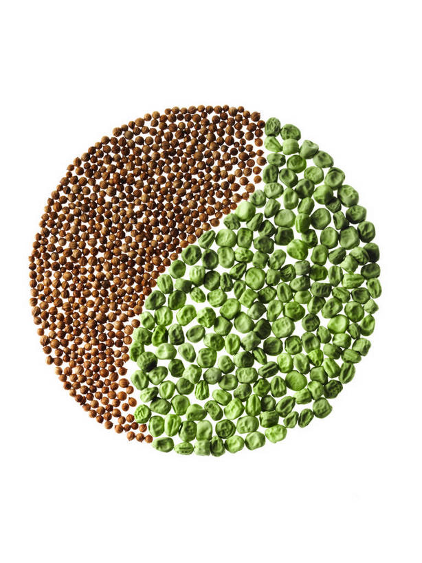 无人,竖图,俯视,室内,特写,白天,白色背景,植物,蔬菜,一堆,许多,阴影,堆叠,堆积,新鲜,反射,圆形,图形,影子,圆,豆类,豆子,豌豆,食品,种子,草药,药草,几何,文化,荷兰豆,中药,食物,祈祷,许愿,摄影,宗教,信仰,有机食品,绿色食品,影棚,堆,祈求,吉祥,豆蔻,数学,风水,药材,中草药,阴阳,雪豆,豆科,中药材,本草,吉凶,吉利,晦气,不祥,倒霉,霉运,恶兆,凶险,寒豆,毕豆,麻累,国豆,小寒豆,麦豌豆,消食,白豆蔻,平安,彩图,高角度拍摄,影棚拍摄,拍摄,几何图形,平面图形,开胃