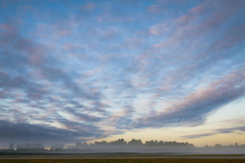 无人,横图,室外,白天,正面,旅游,度假,草地,草坪,日出,美景,森林,树林,太阳,植物,雾,美国,朦胧,模糊,景观,朝霞,晨曦,黎明,娱乐,草,树,树木,绿色,阳光,自然,享受,休闲,景色,放松,生长,成长,迷雾,北美,北美洲,自然风光,美洲,俄勒冈州,俄勒冈,北亚美利加洲,亚美利加洲,落日之州,水獭之州,海狸州,朝阳,大雾,彩图,卯时,破晓,日始,马里昂县,美利坚合众国
