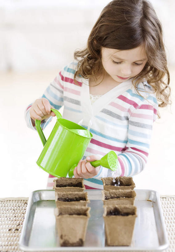 西方人,儿童,一个人,站,竖图,室内,白天,正面,纯洁,水,桌面,桌子,花盆,欧洲,欧洲人,仅一个女性,仅一个人,握,飞溅,服装,溅,木制,壶,液体,泥土,水滴,拿,洒水壶,拿着,注视,休闲装,水壶,水珠,小孩,衣服,木制品,低头,观察,看,站着,仅一个小孩,休闲,休闲服,可爱,童年,童趣,握着,服饰,观看,察看,关注,喷洒,童真,烂漫,无邪,浇水壶,天真,女孩,女人,女性,白种人,孩子,站立,半身,彩图,女生