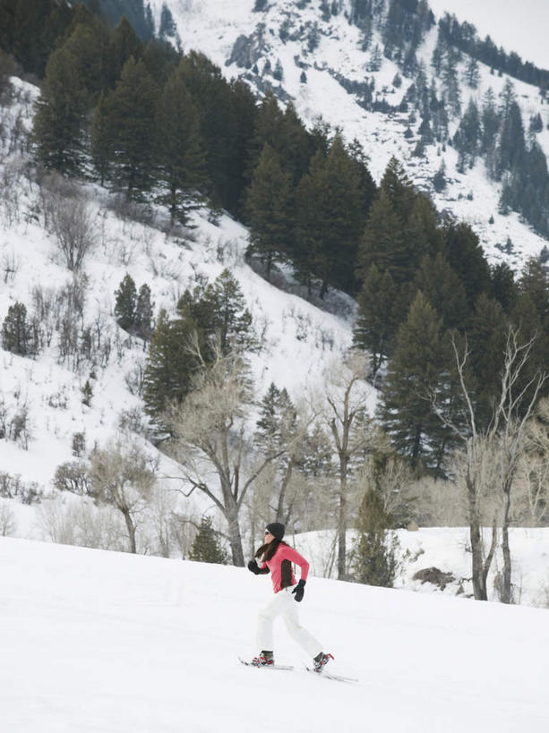 西方人,一个人,走,竖图,室外,白天,侧面,山,树林,雪,雪山,植物,大雪,欧洲,欧洲人,仅一个女性,仅一个人,服装,冰,积雪,山峰,雪景,冬季,冬天,山峦,注视,运动器械,树,树木,衣服,绿色,自然,观察,看,仅一个中年女性,温暖,健身器械,寒冷,服饰,生长,成长,观看,羽绒服,保暖,滑雪鞋,察看,冰冷,御寒,关注,健身器材,滑雪装备,严寒,冰凉,酷寒,凛冽,凛凛,极冷,冬装,女人,女性,中年女性,白种人,步行,散步,走路,彩图,全身,运动器材