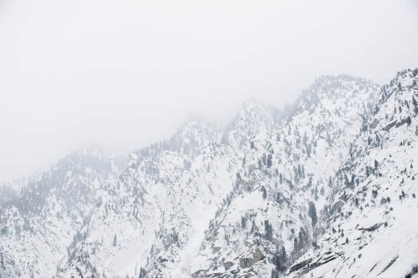 无人,竖图,室外,白天,仰视,旅游,度假,美景,山,树林,雪,雪山,植物,雾,大雪,美国,朦胧,模糊,冰,积雪,景观,山峰,雪景,冬季,冬天,山峦,娱乐,树,树木,绿色,自然,享受,休闲,景色,放松,寒冷,生长,成长,迷雾,冰冷,北美,北美洲,犹他州,自然风光,美洲,北亚美利加洲,亚美利加洲,犹他,蜂窝之州,蜂房州,严寒,冰凉,酷寒,凛冽,凛凛,极冷,大雾,彩图,低角度拍摄