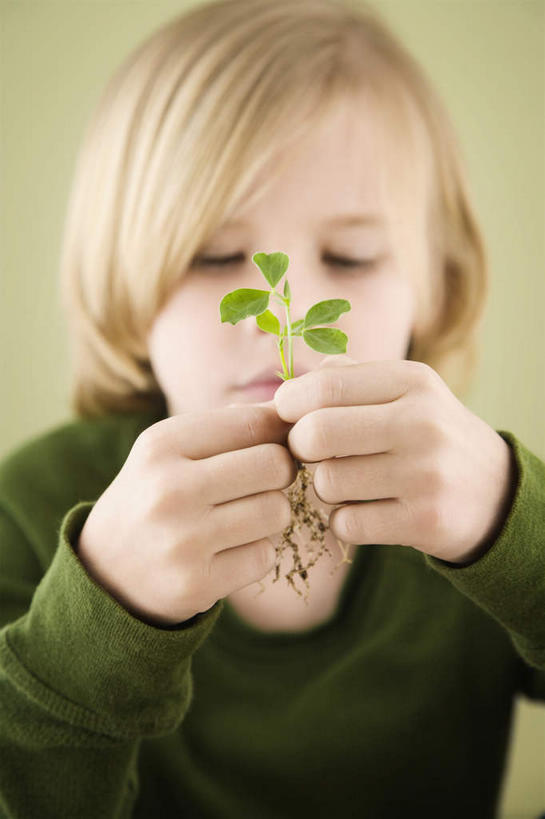 西方人,儿童,脸,头,脸颊,手,一个人,站,竖图,室内,特写,白天,正面,纯洁,叶子,欧洲,欧洲人,双手,仅一个男性,仅一个人,握,服装,绿叶,拿,拿着,注视,休闲装,小孩,衣服,观察,看,站着,仅一个小孩,休闲,手部,休闲服,嫩叶,可爱,童年,童趣,握着,摄影,服饰,影棚,观看,察看,关注,童真,烂漫,无邪,秧苗,天真,男孩,男人,男性,白种人,孩子,头部,脸部,脸蛋,面部,叶,叶片,站立,半身,彩图,影棚拍摄,拍摄,男生