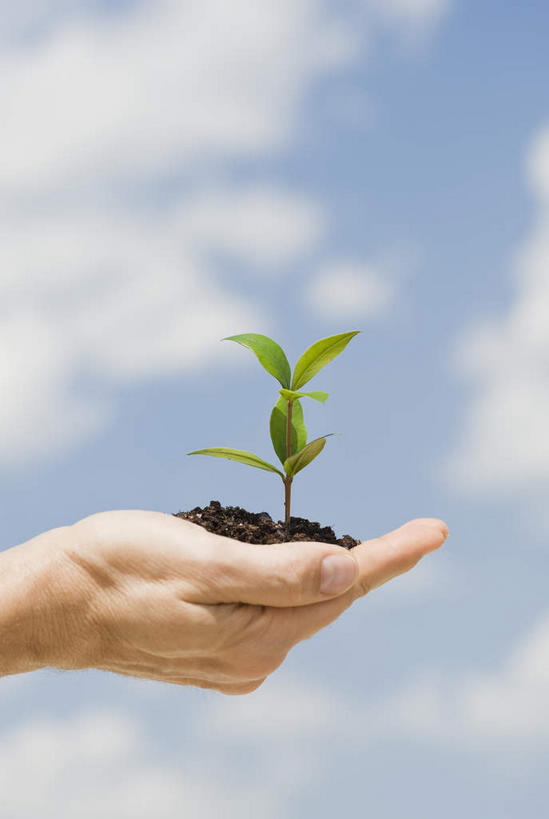 西方人,手,一个人,捧,竖图,室外,特写,白天,正面,叶子,欧洲,欧洲人,仅一个男性,仅一个人,仅一个中年男性,阴影,光线,影子,泥土,土壤,云,云朵,绿叶,云彩,蓝色,白云,蓝天,天空,阳光,天,手部,嫩叶,晴朗,单手,秧苗,男人,男性,中年男性,白种人,叶,叶片,晴空,端,端着,捧着,手捧,半身,彩图