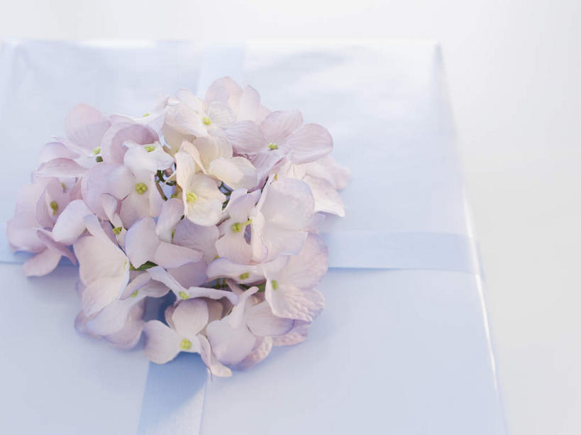 无人,横图,俯视,室内,特写,白天,白色背景,桌面,桌子,礼盒,礼物,阴影,装饰,盛开,反射,木制,包装,包装纸,丝绸,丝带,影子,纸,纸盒,缎带,纸张,花蕾,绸带,盒子,花,花瓣,花朵,鲜花,一个,包装盒,木制品,礼品盒,花苞,花蕊,摄影,礼品,影棚,单个,华丽,修饰,点缀,包装材料,牛皮纸,衬托,美观,雅致,雅观,彩图,高角度拍摄,影棚拍摄,拍摄