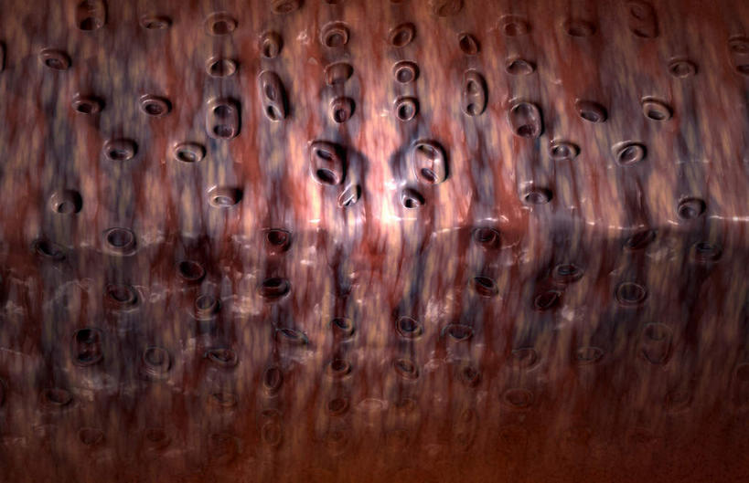 无人,横图,插画,室内,特写,白天,正面,数码,科技,静物,阴影,网络,医学,细胞,高光,几何,计算机图形,合成,图画,画,人体,纤维,电脑合成图,数码合成图,生物学,漫画,软骨,生理学,写实,具体,具象,彩图