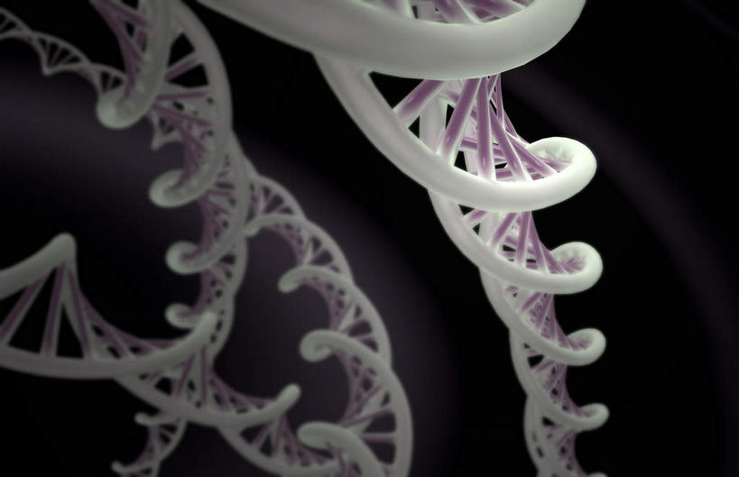 无人,横图,插画,室内,特写,白天,正面,数码,科技,静物,阴影,黑色背景,科学,网络,基因,医学,细胞,高光,几何,计算机图形,合成,图画,画,白色,生物,人体,遗传,电脑合成图,数码合成图,生物学,脱氧核糖核酸,漫画,DNA双螺旋结构,生理学,写实,具体,具象,DNA分子,去氧核糖核酸,遗传信息,遗传因子,遗传学,彩图