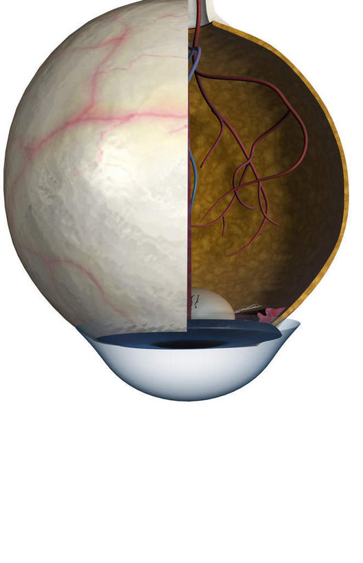 眼睛,无人,竖图,室内,特写,白天,白色背景,正面,数码,科技,瞳孔,阴影,局部,网络,高光,几何,计算机图形,合成,眼部,部分,电脑合成图,数码合成图,视网膜,眼球,器官,写实,具体,具象,巩膜,角膜,脉络膜,视觉器官,眼房,眼球壁,眼,彩图