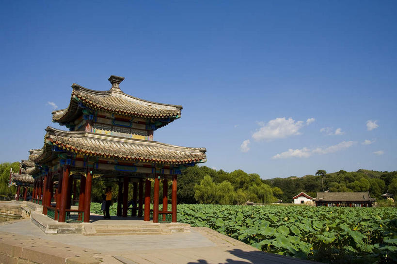 无人,宫殿,横图,室外,白天,正面,旅游,度假,名胜古迹,植物,标志建筑,地标,建筑,叶子,避暑山庄,中国,亚洲,许多,阴影,遗迹,光线,瓦片,影子,柱子,屋檐,池塘,水池,云,云朵,荷叶,很多,云彩,古迹,文物,娱乐,建设,古建筑,檐,树,树木,红色,蓝色,绿色,白云,蓝天,天空,阳光,自然,天,享受,休闲,旅游胜地,放松,生长,晴朗,成长,宫廷,古文明,东亚,中华人民共和国,华北地区,莲叶,河北,河北省,冀,承德,承德市,王宫,叶,叶片,晴空,彩图,皇宫,承德避暑山庄,飞檐