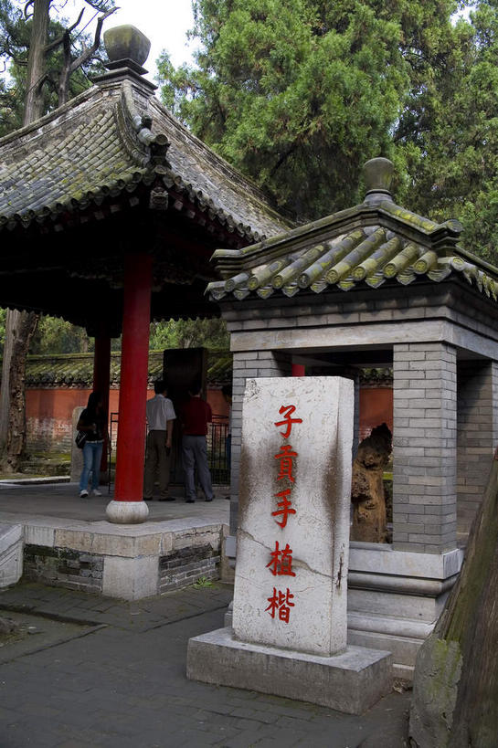 无人,寺庙,竖图,室外,白天,正面,旅游,度假,名胜古迹,标志建筑,道路,地标,建筑,路,雕塑,中国,亚洲,阴影,节日,遗迹,艺术,装饰,光线,雕刻,雕像,瓦片,影子,柱子,墙,屋檐,小路,交通,燃烧,古迹,文化,文物,娱乐,建设,古建筑,山东,石雕,石刻,檐,墙壁,墙面,石板路,红色,阳光,石碑,香火,工艺品,庙宇,祈祷,享受,休闲,健康,旅游胜地,放松,许愿,宗教,信仰,纪念,祈求,美术,主题,陈列,古文明,东亚,曲阜,曲阜市,山东省,孔府,中华人民共和国,华东地区,功能,美学,鲁,平安,彩图,庙,寺