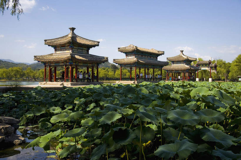 无人,宫殿,栏杆,横图,室外,白天,正面,旅游,度假,名胜古迹,植物,标志建筑,地标,建筑,叶子,避暑山庄,中国,亚洲,一排,许多,阴影,遗迹,整齐,光线,影子,柱子,亭子,屋顶,池塘,水池,云,云朵,围栏,荷叶,很多,云彩,顶棚,古迹,文物,娱乐,建设,古建筑,护栏,树,树木,排列,蓝色,绿色,白云,蓝天,天空,阳光,自然,凉亭,天,享受,休闲,旅游胜地,放松,生长,晴朗,成长,宫廷,队列,古文明,东亚,中华人民共和国,华北地区,莲叶,河北,河北省,冀,承德,承德市,王宫,叶,叶片,晴空,彩图,皇宫,承德避暑山庄