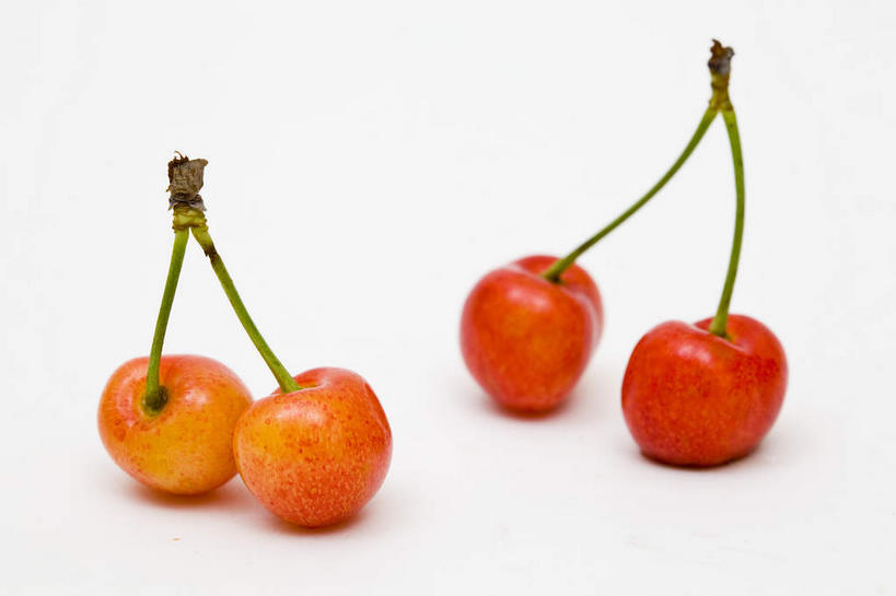 无人,横图,俯视,室内,特写,白天,白色背景,餐桌,桌子,樱桃,水果,新鲜,生食,食品,果实,食物,黄色,红色,四个,摄影,有机食品,绿色食品,影棚,餐台,摄影棚,樱珠,莺桃,英桃,楔桃,牛桃,荆桃,彩图,高角度拍摄,影棚拍摄,拍摄