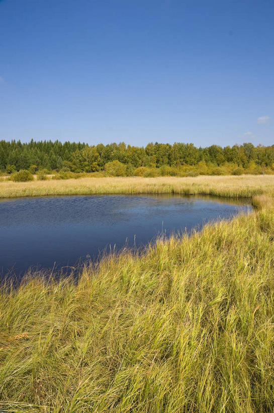 无人,竖图,室外,白天,正面,旅游,度假,草地,草原,湖,湖泊,美景,水,植物,中国,亚洲,阴影,光线,影子,湖面,景观,旷野,水流,水面,娱乐,草,树,树木,蓝色,绿色,倒影,蓝天,天空,阳光,自然,湖水,天,享受,休闲,景色,放松,生长,晴朗,成长,倒映,自然风光,原野,东亚,万里无云,中华人民共和国,华北地区,河北,河北省,冀,承德,承德市,反照,晴空,晴空万里,彩图,坝上草原