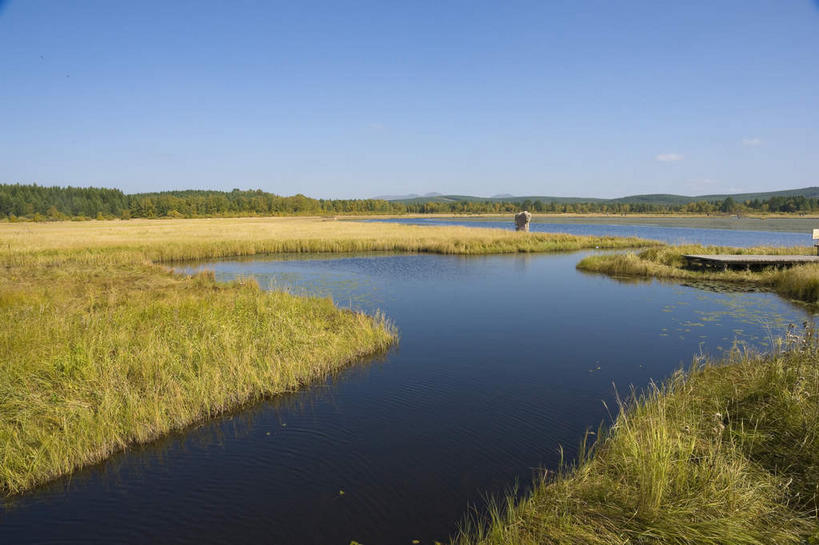 无人,横图,室外,白天,正面,旅游,度假,草地,草原,湖,湖泊,美景,水,植物,中国,亚洲,阴影,光线,影子,湖面,景观,旷野,水流,水面,娱乐,草,树,树木,蓝色,绿色,倒影,蓝天,天空,阳光,自然,湖水,天,享受,休闲,景色,放松,生长,晴朗,成长,倒映,自然风光,原野,东亚,万里无云,中华人民共和国,华北地区,河北,河北省,冀,承德,承德市,反照,晴空,晴空万里,彩图,坝上草原