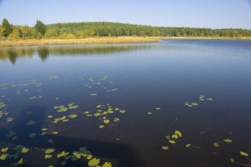 无人,横图,室外,白天,正面,旅游,度假,草地,草原,湖,湖泊,美景,水,植物,中国,亚洲,阴影,光线,影子,湖面,景观,旷野,水流,水面,娱乐,草,树,树木,蓝色,绿色,倒影,蓝天,天空,阳光,自然,湖水,天,享受,休闲,景色,放松,生长,晴朗,成长,倒映,自然风光,原野,东亚,万里无云,中华人民共和国,华北地区,河北,河北省,冀,承德,承德市,反照,晴空,晴空万里,彩图,坝上草原