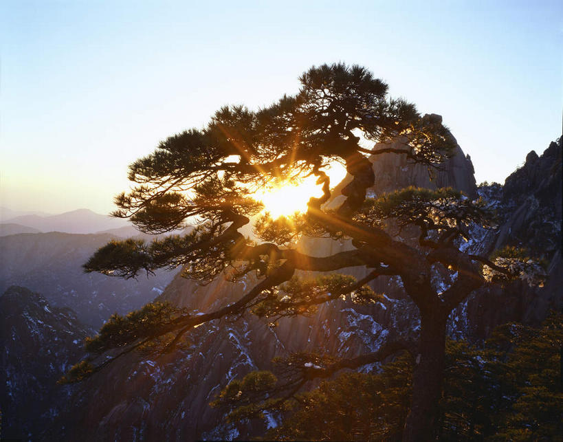 无人,横图,室外,白天,正面,旅游,度假,黄山,美景,日落,山,山脉,植物,松树,中国,亚洲,景观,山峰,晚霞,霞光,落日,山峦,娱乐,树,树木,绿色,自然,黄昏,群山,享受,休闲,景色,彩霞,放松,生长,成长,自然风光,坚定,东亚,安徽,安徽省,黄山市,中华人民共和国,华东地区,长寿,皖,贞洁,夕照,薄暮,黟山,夕阳,彩图,镜头光晕,透镜闪耀,眩光,傍晚,世界地质公园,天下第一奇山,斜阳,送客松