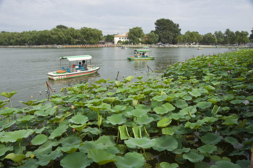 无人,横图,室外,白天,正面,旅游,度假,湖,湖泊,美景,树林,水,植物,船,叶子,北京,中国,亚洲,阴影,漂浮,光线,影子,湖面,景观,水流,水面,云,云朵,游艇,荷叶,首都,云彩,娱乐,什刹海,树,树木,蓝色,绿色,白云,蓝天,天空,阳光,自然,交通工具,湖水,天,享受,休闲,景色,放松,生长,晴朗,成长,漂流,自然风光,载具,东亚,中华人民共和国,北京市,京,北平,华北地区,莲叶,流浪,流落,流散,漂泊,飘泊,飘流,叶,叶片,晴空,彩图,十刹海