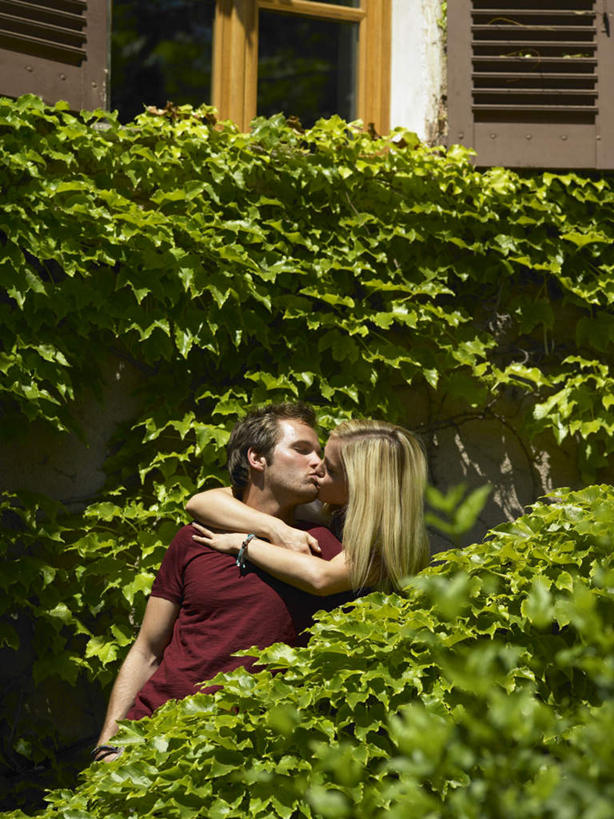 西方人,两个人,站,抱,吻,竖图,室外,白天,正面,爱情,植物,窗户,欧洲,欧洲人,阴影,服装,环保,光线,影子,墙,防护,浪漫,扭头,注视,休闲装,玻璃窗,墙壁,墙面,树,树木,衣服,绿色,阳光,自然,观察,看,站着,转头,休闲,温暖,温馨,休闲服,恩爱,搭,恋人,服饰,生长,成长,抱着,观看,和睦,察看,搂着,搭着,关注,美好,美妙,间隔,美观,雅观,绿篱,生篱,树篱,植篱,男人,男性,年轻男性,年轻女性,女人,女性,白种人,情侣,接吻,搂,搂抱,亲,亲吻,亲嘴,站立,半身,彩图,伴侣,融洽