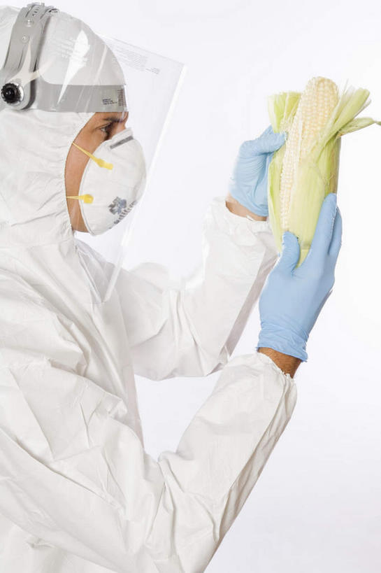 东方人,一个人,科学家,站,竖图,室内,白天,白色背景,侧面,工作服,制服,安全,玉米,蔬菜,亚洲,仅一个男性,仅一个人,握,新鲜,分离,棒子,眼镜,玉蜀黍,食品,防护,过滤,拿,分开,拿着,注视,黄种人,食物,仅一个年轻男性,一个,白色,口罩,手套,观察,看,站着,隔断,握着,遮掩,摄影,有机食品,绿色食品,影棚,单个,观看,护目镜,保护,隔离,苞米,察看,卫生,掩盖,遮挡,科研人员,关注,净化,苞芦,间隔,保险,研究者,预防,遮盖,防尘,苞谷,科学研究者,保全,周全,安稳,安定,防护手套,掩饰,包谷,大蜀黍,番麦,薏米包,玉高粱,玉麦,珍珠米,断绝,隔开,屏蔽,屏绝,远离,中断,阻遏,阻隔,安全防护眼镜,工作制服,平安,男人,男性,年轻男性,亚洲人,科学工作者,站立,半身,彩图,影棚拍摄,工作套服,拍摄,防护眼镜