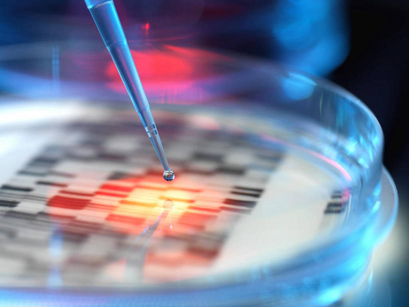 无人,横图,室内,白天,正面,数码,实验,仪器,科技,水,阴影,研究,分析,科学,网络,化学,基因,测试,滴管,培养皿,液体,水滴,高光,几何,计算机图形,合成,一个,器皿,生物,遗传,单个,电脑合成图,数码合成图,脱氧核糖核酸,合成图,皮氏培养皿,试验耗材,实验用品,化学器材,吸液管,写实,具体,具象,移液管,DNA分子,去氧核糖核酸,遗传信息,遗传因子,遗传学,彩图,DNA图谱,基因图,基因图谱