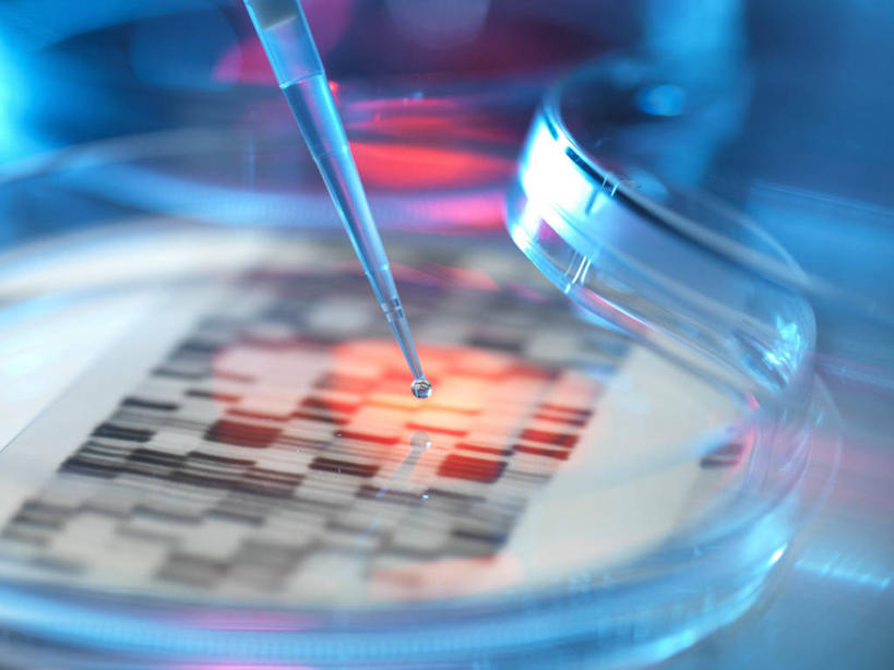 无人,横图,室内,白天,正面,数码,实验,仪器,科技,水,阴影,研究,分析,科学,网络,化学,基因,测试,滴管,培养皿,液体,水滴,高光,几何,计算机图形,合成,一个,器皿,生物,遗传,单个,电脑合成图,数码合成图,脱氧核糖核酸,合成图,皮氏培养皿,试验耗材,实验用品,化学器材,吸液管,写实,具体,具象,移液管,DNA分子,去氧核糖核酸,遗传信息,遗传因子,遗传学,彩图,DNA图谱,基因图,基因图谱