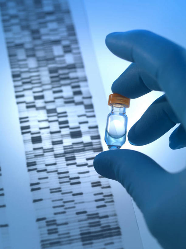 手,一个人,无人,竖图,室内,白天,正面,安全,数码,实验,仪器,科技,水,仅一个男性,仅一个人,握,阴影,研究,分析,科学,网络,化学,基因,测试,液体,水滴,防护,高光,几何,计算机图形,拿,合成,拿着,玻璃制品,仅一个年轻男性,一个,蓝色,玻璃瓶,瓶子,手套,手部,器皿,生物,握着,遗传,单个,保护,单手,电脑合成图,数码合成图,脱氧核糖核酸,合成图,保险,试验耗材,实验用品,化学器材,写实,具体,具象,保全,周全,安稳,安定,防护手套,DNA分子,去氧核糖核酸,遗传信息,遗传因子,遗传学,平安,男人,男性,年轻男性,半身,彩图,DNA图谱,基因图,基因图谱