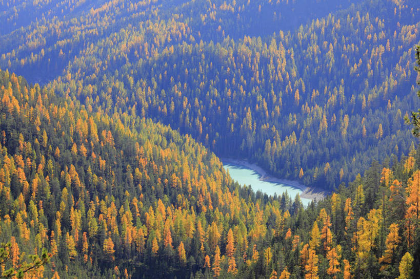 无人,横图,俯视,航拍,室外,白天,旅游,度假,河流,美景,秋季,森林,山,山脉,树林,水,植物,松树,叶子,瑞士,欧洲,河水,景观,山峰,水流,枯叶,落叶,山峦,娱乐,树,树木,绿色,自然,群山,享受,休闲,景色,放松,生长,成长,鸟瞰,自然风光,坚定,中欧,落叶松,长寿,瑞士联邦,贞洁,叶,叶片,秋,秋天,彩图,高角度拍摄,黄花松