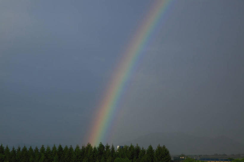 无人,横图,室外,白天,正面,旅游,度假,彩虹,美景,树林,植物,秋田县,日本,亚洲,景观,乌云,云,阴天,云朵,云彩,娱乐,树,树木,绿色,天空,自然,天,享受,休闲,景色,放松,生长,成长,昏暗,阴沉,自然风光,东亚,本州,本州岛,日本国,秋田,东北地方,虹,虹桥,七彩虹,天虹,彩图,鹿角市
