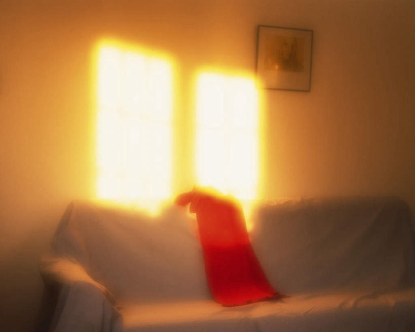 无人,客厅,横图,室内,白天,正面,窗户,沙发,朦胧,模糊,光线,墙,玻璃窗,壁画,墙壁,墙面,衣服,阳光,一件,起居室,一幅,布艺沙发,彩图