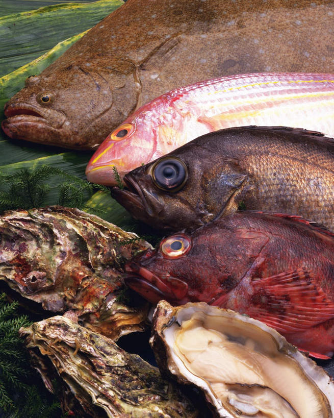 海鲜,无人,竖图,俯视,室内,特写,白天,桌面,比目鱼,贝壳,叶子,一堆,许多,堆叠,堆积,鱼,绿叶,鲷鱼,水产,海洋生物,嫩叶,摄影,影棚,堆,鲷,加吉鱼,铜盆鱼,岩鱼,水生动物,海产品,水生物,班加吉,加真鲷,叶,叶片,贝类外壳,海螺壳,软体动物外壳,鲽鱼,半身,彩图,高角度拍摄,影棚拍摄,拍摄