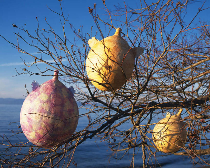 无人,横图,室外,白天,正面,海浪,海洋,树林,植物,朦胧,模糊,圆形,浪花,云,云朵,枝条,云彩,树,树木,树枝,三个,蓝色,绿色,白云,蓝天,天空,自然,海水,天,生长,晴朗,成长,物体,海景,虬枝,枝杈,大海,风浪,海,海水的波动,近岸浪,涌浪,晴空,彩图