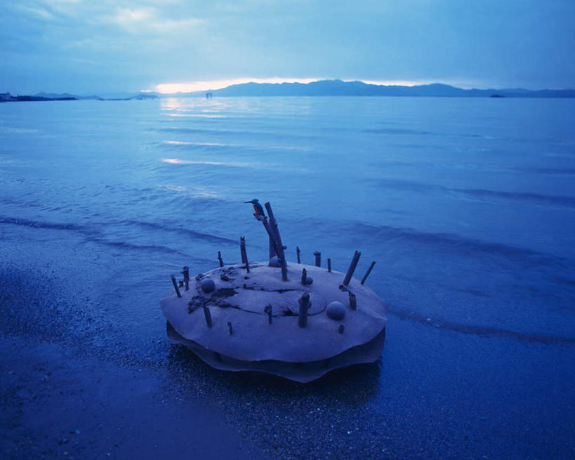 无人,横图,室外,白天,正面,日出,海浪,海洋,沙滩,太阳,鸟,雕塑,朦胧,模糊,艺术,装饰,鸟类,雕刻,雕像,沙子,海岸,浪花,树桩,朝霞,晨曦,黎明,沙地,停留,树枝,一只,蓝色,阳光,海水,工艺品,纪念,美术,主题,陈列,海景,功能,美学,大海,风浪,海,海水的波动,海滩,近岸浪,涌浪,朝阳,彩图,破晓