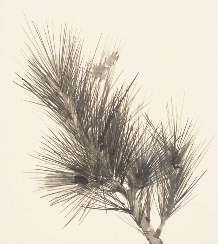 无人,竖图,俯视,室内,白天,绘画,植物,松树,灰色背景,艺术,古典,文化,树,树木,绿色,自然,工艺品,品味,生长,成长,美术,高雅,国画,水墨画,坚定,美学,长寿,贞洁,水墨,彩图,高角度拍摄