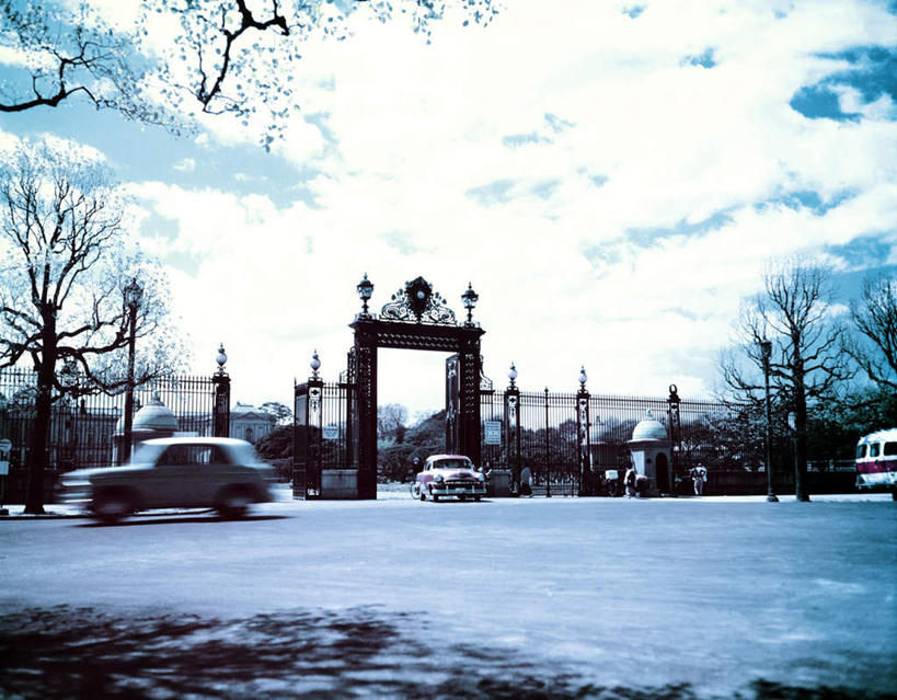 无人,栏杆,横图,室外,白天,度假,美景,树林,雪,植物,大雪,城市风光,城市,汽车,东京,日本,亚洲,栅栏,积雪,景观,篱笆,雪景,冬天,围栏,铁栅栏,娱乐,护栏,车,树,树木,绿色,白云,自然,交通工具,轿车,行驶,享受,休闲,景色,放松,生长,成长,东亚,本州,关东地方,本州岛,日本国,东京都,赤坂,彩图,低角度拍摄