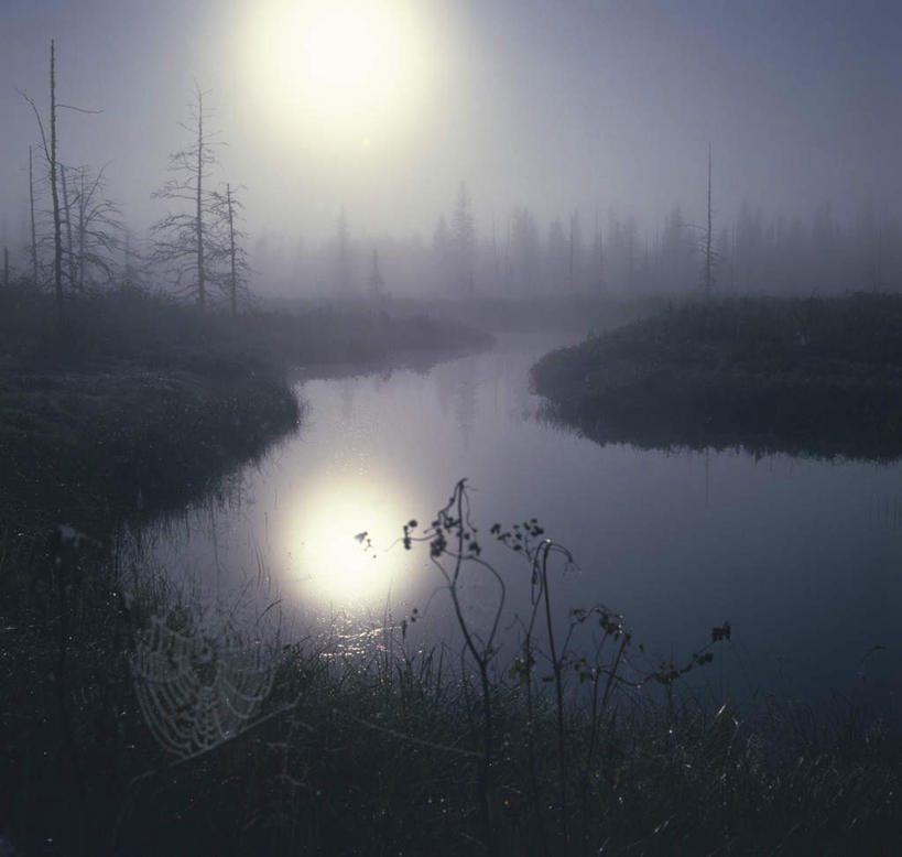 无人,方图,俯视,室外,白天,草地,草坪,河流,美景,树林,水,太阳,植物,许多,阴影,光线,蜘蛛网,影子,河水,景观,水流,草,树,树木,绿色,阳光,自然,景色,生长,成长,自然风光,彩图,高角度拍摄