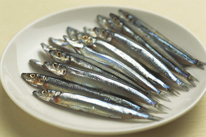 海鲜,无人,横图,俯视,室内,特写,白天,桌面,桌子,餐具,一堆,一排,许多,堆叠,堆积,整齐,碟子,盘,水产,海洋生物,排列,一个,白色,盘子,碟,摄影,影棚,单个,堆,鲱鱼,队列,水生动物,海产品,水生物,海底动物,彩图,高角度拍摄,影棚拍摄,拍摄