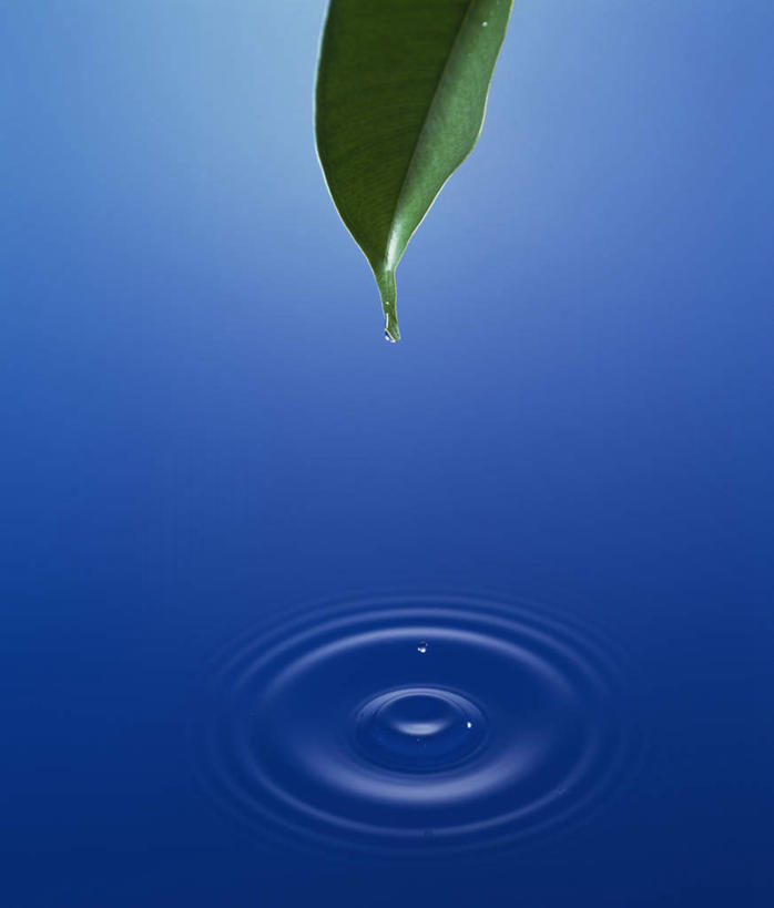 无人,竖图,插画,室外,白天,正面,数码,科技,河流,水,植物,叶子,一片,阴影,波纹,网络,纹理,河水,水流,绿叶,高光,几何,计算机图形,合成,图画,画,绿色,水纹,波浪,嫩叶,电脑合成图,数码合成图,漫画,肌理,写实,具体,具象,叶,叶片,叶脉,彩图