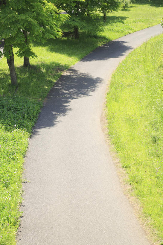 无人,竖图,俯视,室外,白天,旅游,度假,草地,草坪,美景,植物,道路,路,阴影,光线,影子,景观,人行道,小路,娱乐,草,树,树木,绿色,阳光,自然,享受,休闲,景色,放松,生长,成长,自然风光,彩图,高角度拍摄