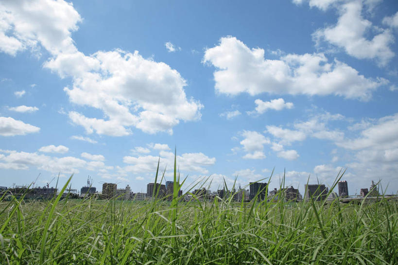 无人,高楼大厦,横图,室外,白天,仰视,度假,草地,草坪,美景,植物,城市风光,城市,大厦,建筑,摩天大楼,东京,日本,亚洲,朦胧,模糊,景观,云,云朵,建筑群,云彩,娱乐,建设,草,蓝色,绿色,白云,蓝天,天空,天,享受,休闲,景色,放松,晴朗,东亚,本州,关东地方,本州岛,日本国,东京都,晴空,彩图,低角度拍摄,大楼,高层建筑,高楼,摩天楼