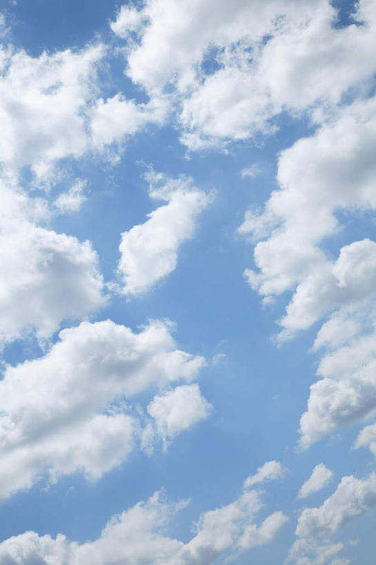 无人,竖图,室外,白天,仰视,旅游,度假,美景,东京,日本,亚洲,景观,云,云朵,云彩,娱乐,蓝色,白云,蓝天,天空,自然,天,享受,休闲,景色,放松,晴朗,自然风光,东亚,本州,关东地方,本州岛,日本国,东京都,晴空,彩图,低角度拍摄