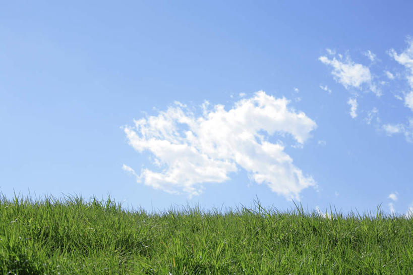 无人,横图,室外,白天,仰视,旅游,度假,草地,草坪,美景,植物,东京,日本,亚洲,景观,云,云朵,云彩,娱乐,草,蓝色,绿色,白云,蓝天,天空,自然,天,享受,休闲,景色,放松,晴朗,自然风光,东亚,本州,关东地方,本州岛,日本国,东京都,晴空,彩图,低角度拍摄