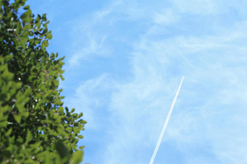 无人,横图,室外,白天,仰视,旅游,度假,美景,植物,叶子,景观,烟雾,云,云朵,云彩,娱乐,树,树木,蓝色,绿色,白云,蓝天,天空,自然,天,享受,休闲,嫩叶,景色,放松,生长,晴朗,成长,污染,废气,自然风光,飞机尾迹,尾迹云,机尾云,飞机拉烟,云带,尾迹,机尾迹,飞机尾气,叶,叶片,晴空,彩图,低角度拍摄